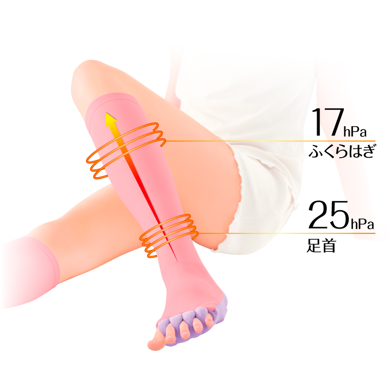 ふくらはぎ 17hPa／足首 25hPa
