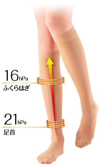 足首 27hPa／ふくらはぎ16hPa